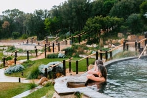 Melbourne: Mornington Peninsula Hot Springs and Winery Tour
