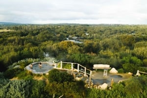 Melbourne: Mornington Peninsula Hot Springs and Winery Tour