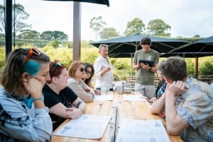 Melbourne/Mornington: Peninsula Hot Springs and Winery Tour