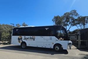 Melbourne/Mornington: Peninsula Hot Springs and Winery Tour