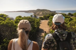 Melbourne/Mornington: Peninsula Hot Springs and Winery Tour