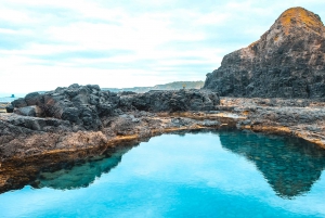 Melbourne: Mornington Peninsula & Hot Springs Tour 8 pax max