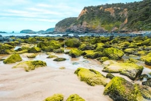 Melbourne: Mornington Peninsula & Hot Springs Tour 8 pax max