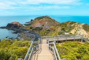 Melbourne: Mornington Peninsula & Hot Springs Tour 8 pax max