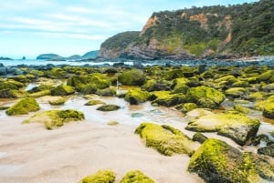 Melbourne: Mornington Peninsula & Hot Springs Tour max 8 personer