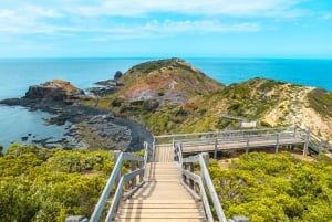 Melbourne: Mornington Peninsula & Hot Springs Tour max 8 personer