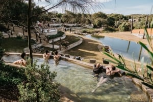 Melbourne: Mornington Peninsula & Hot Springs Tour max 8 personer