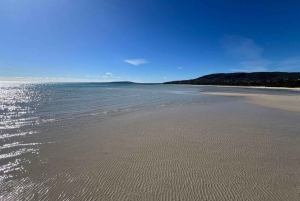 Melbourne: Mornington Peninsula Privé Trip inclusief tickets