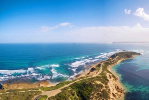 Melbourne: Odkrywanie południowego wybrzeża półwyspu Mornington