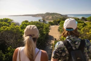 Melbourne: Odkrywanie południowego wybrzeża półwyspu Mornington