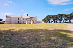 Melbourne: Odkrywanie południowego wybrzeża półwyspu Mornington