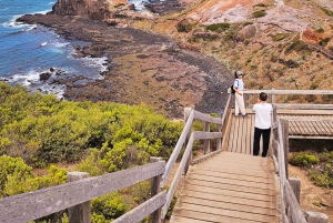 Melbourne: Odkrywanie południowego wybrzeża półwyspu Mornington