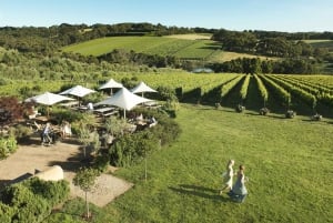 Melbourne: Mornington Peninsula Wine Day Tour