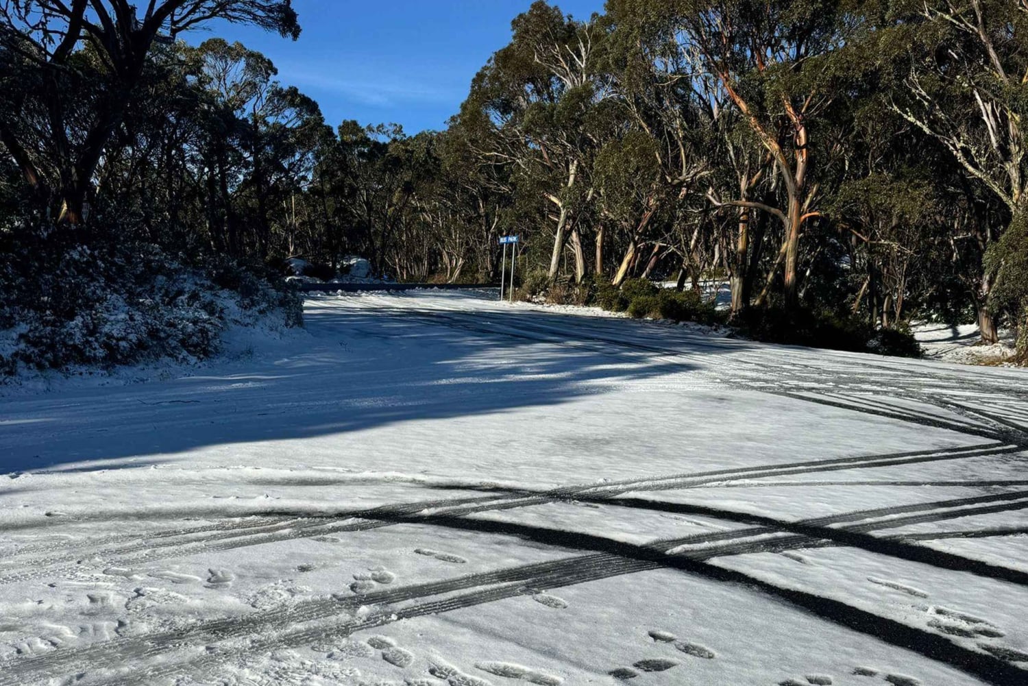 Melbourne: Privat snötur med guide på Mount Baw Baw