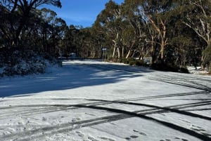 Melbourne: Privat snötur med guide på Mount Baw Baw