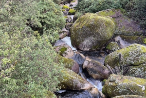 Melbourne: Privat snötur med guide på Mount Baw Baw