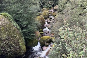 Melbourne: Privat snötur med guide på Mount Baw Baw