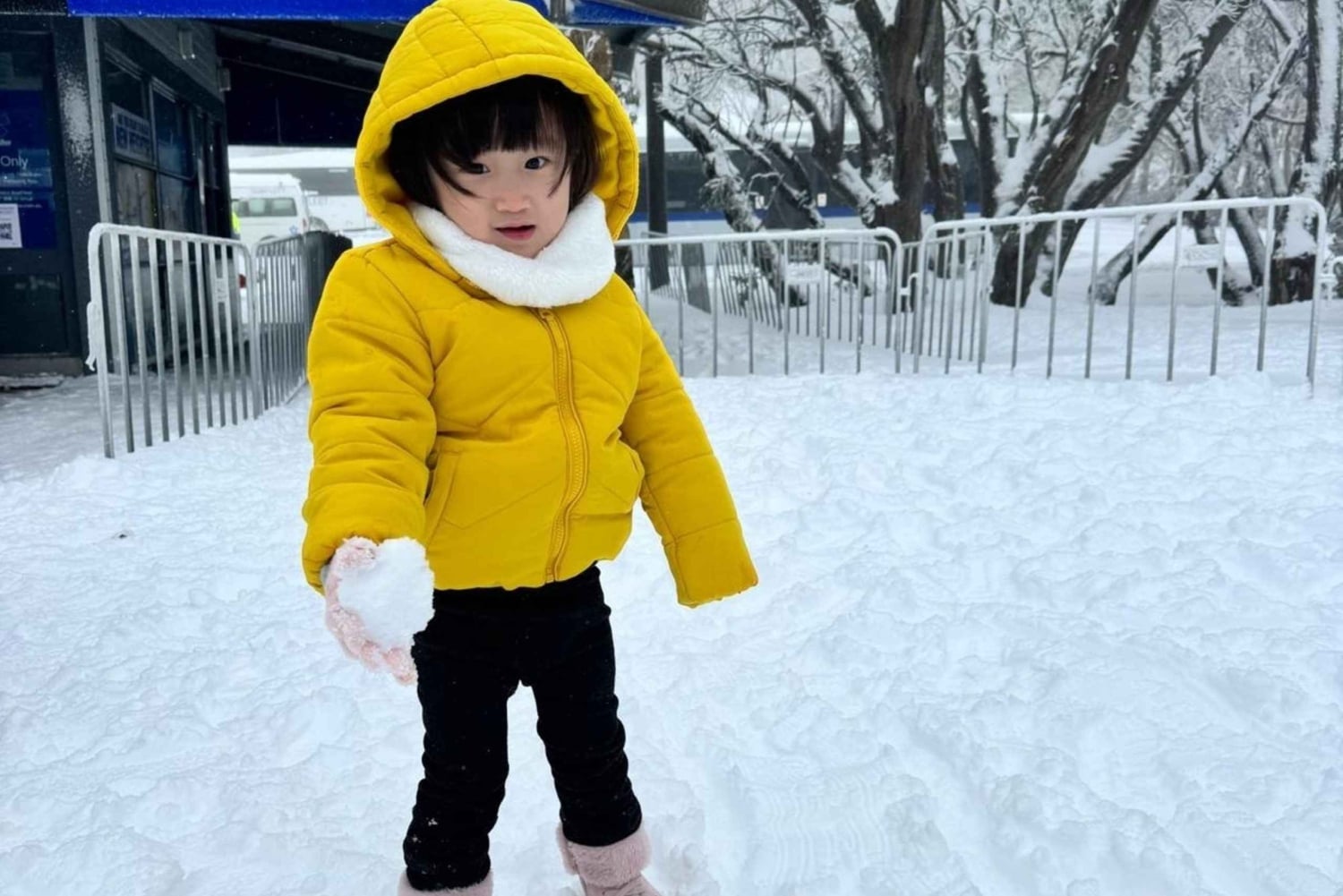 Melbourne: Mt Buller Day Trip with Yarra Valley Chocolaterie