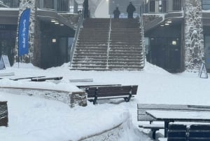 Melbourne: Mt Buller Day Trip with Yarra Valley Chocolaterie