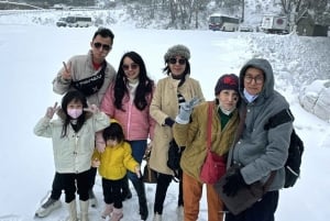 Melbourne: Mt Buller Day Trip with Yarra Valley Chocolaterie