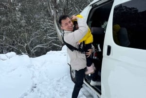 Melbourne: Mt Buller Day Trip with Yarra Valley Chocolaterie