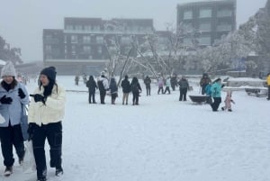 Melbourne: Mt Buller Day Trip with Yarra Valley Chocolaterie