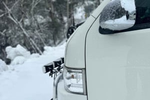 Melbourne: Mt Buller Day Trip with Yarra Valley Chocolaterie