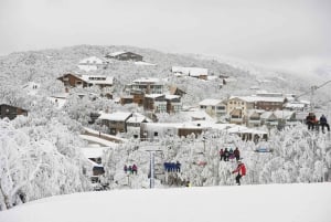 Melbourne: Excursión a la nieve en Mt Buller: ahorra en el alquiler y disfruta de 5 horas de diversión.