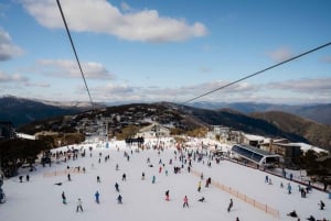 Melbourne: Excursión a la nieve en Mt Buller: ahorra en el alquiler y disfruta de 5 horas de diversión.
