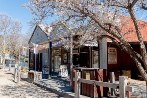 Melbourne: Murray River Paddle Steamer, Wildlife & Silo Art