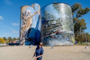 Melbourne: Murray River Paddle Steamer, Wildlife & Silo Art