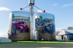 Melbourne: Murray River Paddle Steamer, Wildlife & Silo Art