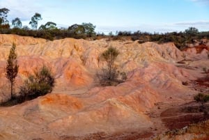 Melbourne: Murray River Paddle Steamer, Wildlife & Silo Art