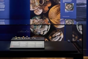 Museu de Melbourne: Bilhete de Entrada para os Tesouros da Era Viking