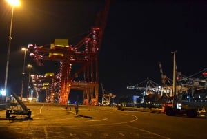 Melbourne: Nighttime Private City Tour with Transfer & Stops