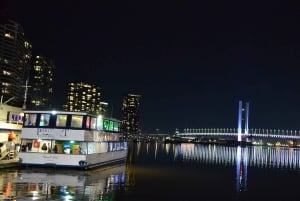 Melbourne: Nighttime Private City Tour with Transfer & Stops