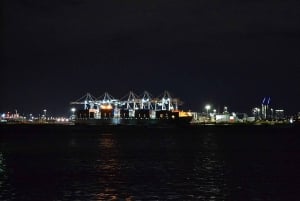 Melbourne: Nighttime Private City Tour with Transfer & Stops