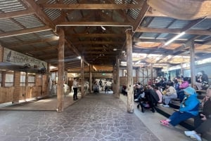 Melbourne: Pinguin-Parade & Churchill Island Farm Tour