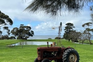 Melbourne: Pinguin-Parade & Churchill Island Farm Tour