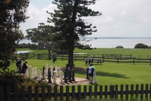 Melbourne: Pinguin-Parade & Churchill Island Farm Tour