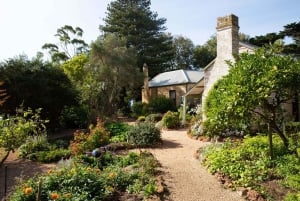 Melbourne: Pinguin-Parade & Churchill Island Farm Tour