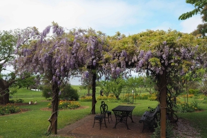 Melbourne: Pinguin-Parade & Churchill Island Farm Tour