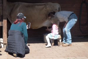 Melbourne: Pinguin-Parade & Churchill Island Farm Tour