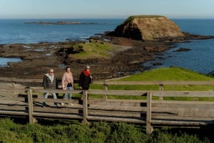 Melbourne: Pinguin-Parade & Churchill Island Farm Tour