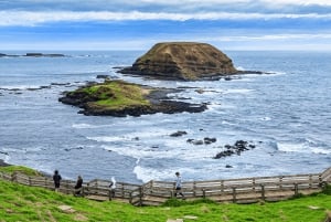 Melbourne: Pingvinparaden och Yarra Valley choklad- och vinresa