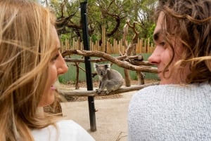 Melbourne: Peninsula Nature Private Day Trip with Dinner