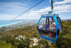 Melbourne: Peninsula Nature Private Day Trip with Dinner