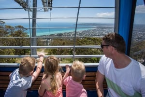 Melbourne: Peninsula Nature Private Day Trip with Dinner