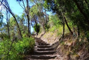 Melbourne: Peninsula Nature Private Day Trip with Dinner