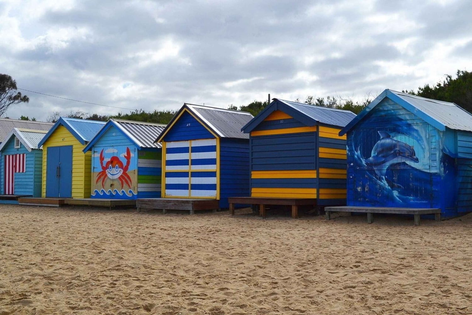 Melbourne: Peninsula Sightseeing Driving Day Tour